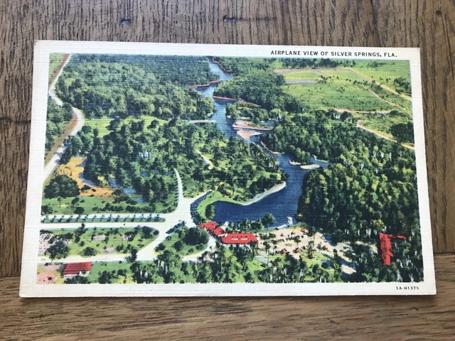 Airplane View of Silver Springs Florida FL Postcard