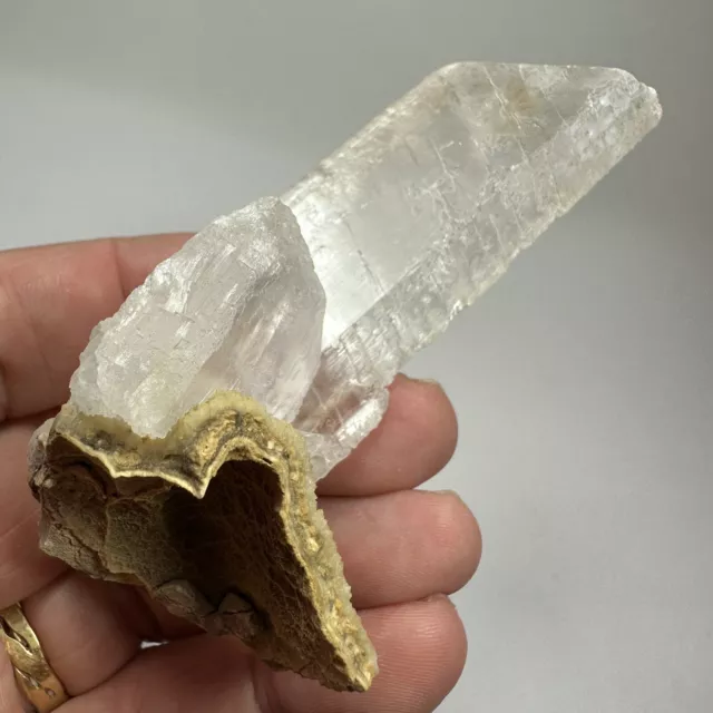Gypsum Crystal Group On Matrix Mineral Display Specimen Cavnic Romania 74 Grams