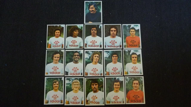 15 Vignettes Âgeducatif 1975/76 – Équipe Lyon – RARE – Non Panini – En Bon État