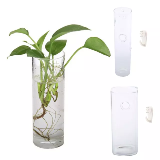 Wandbehang Pflanzer Glas Hydrokultur Vase Pflanze Topf Terrarium