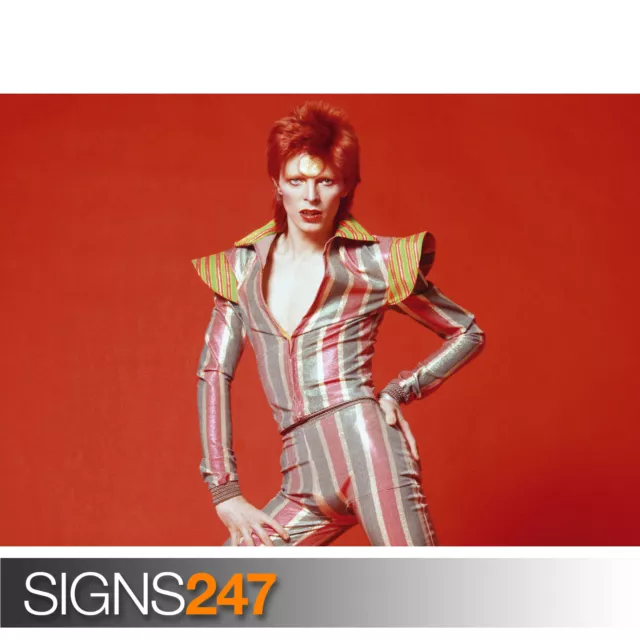 DAVID BOWIE ZIGGY STARDUST POSE (1138) Picture Poster Print Art A0 A1 A2 A3 A4