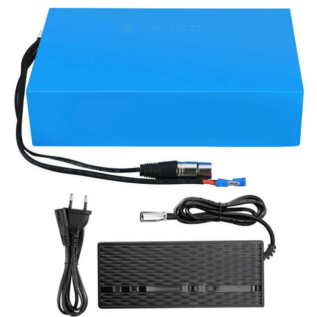 Batteria E-Bike 36V 15.6Ah Per Pedelec Con Caricabatterie 42V 3A – Sostitutiva Per E-GO! Wondervelo, Hapex – Al Litio Con BMS