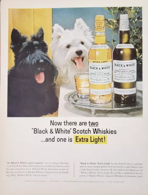 1964 Black & White Scotch Whiskey One Is Extra Light Terrier Dogs Print Ad