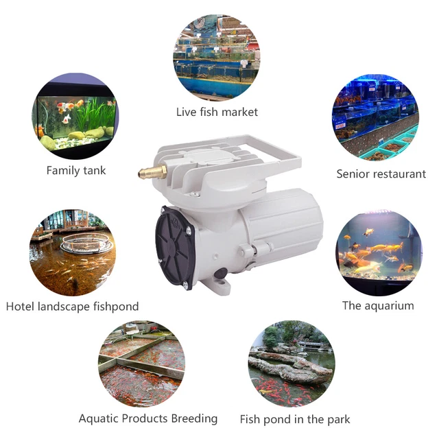 Air Pump Fish Tank DC12V Pond Aquarium Aerator Compressor 60W 120LPM Air Pump Fish Tank DC12V Pond Aquarium Aerator Compressor 60W 120LPM