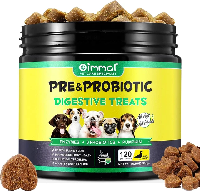Probiotici per Cani, Probiotici per Cani Enzimi Digestivi, Salute Dell'Intestino