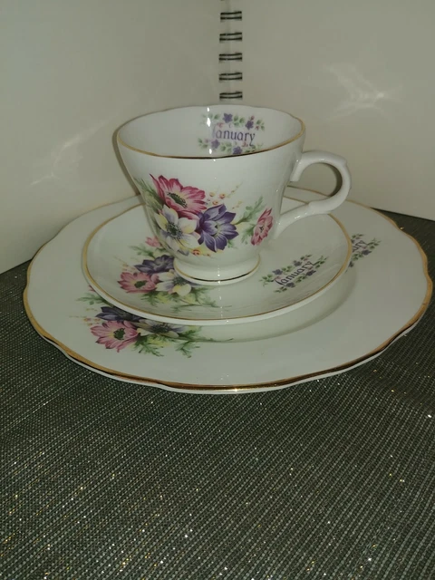 Crown Trent Staffordshire England Bone China Cup And Saucer Flowers January