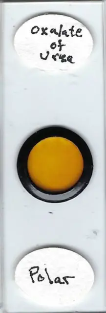 Oxalate of Urea Chemical Microscope Slide for Polariscope