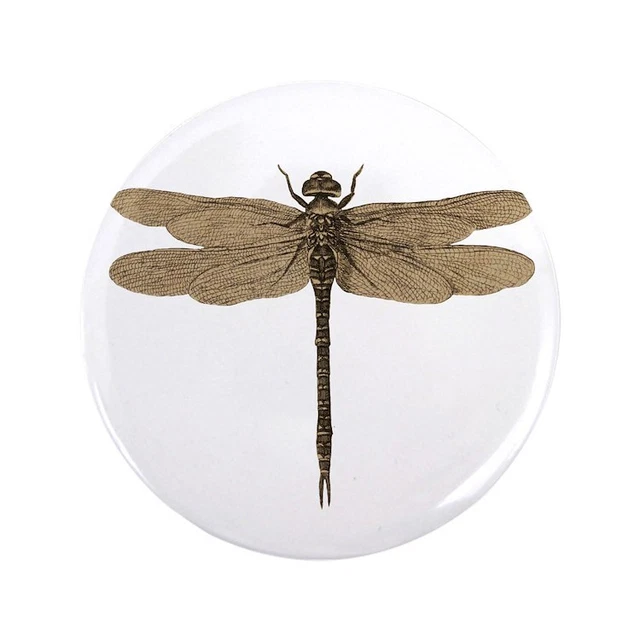 CafePress Dragonfly Vintage 3.5 Button 3.5" Button (854081387)