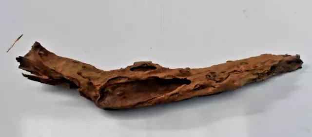 Driftwood Natural Tree Trunk Aquarium Fish tank Reptile Deco Length 14 inches