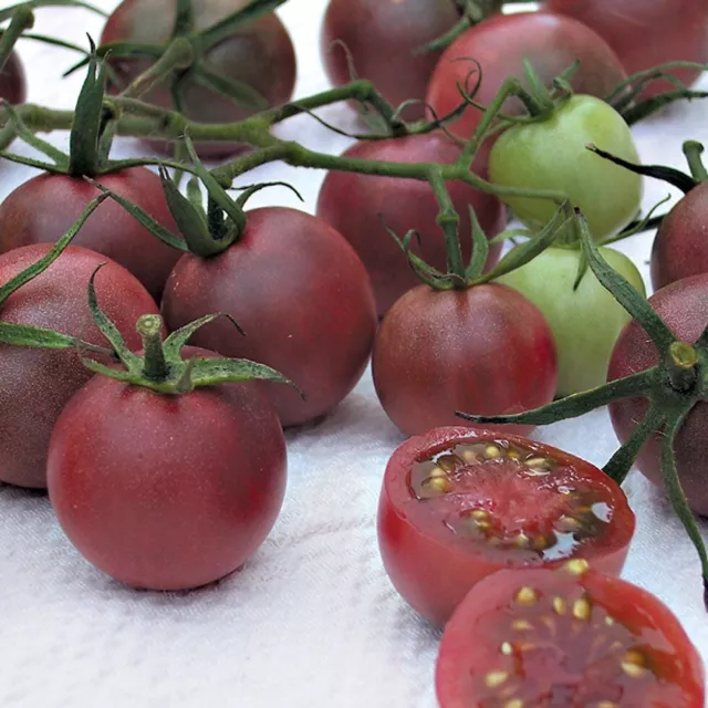 🌸 Heirloom  tomato chocolate cherry  25 Seeds - Genuine Uk seeds