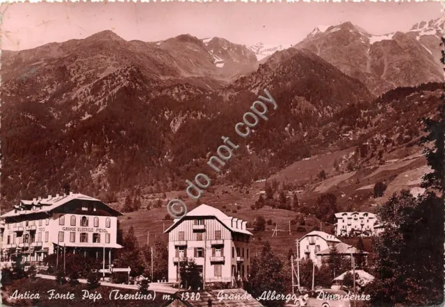 Cartolina - Postcard - Pejo - Grande albergo e dipendenze - 1950