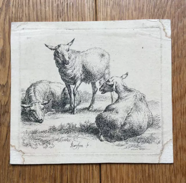 Nicolaes Berchem MOUTONS Gravure Ancienne Signée XVIIème