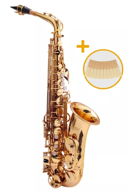 Saxophone Alto en Laiton Laque Saxo Instrument a Vent Set Coffre 10pc 2,5 Anches