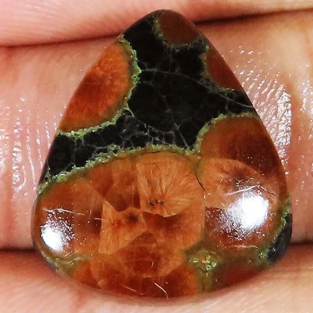(18x21x05 MM Größe) 16.75 Cts. Natürlich Erdnuss Obsidian Birne Form Lose