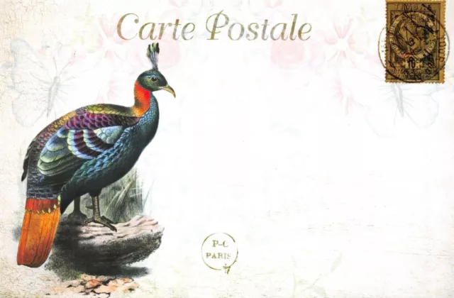 Postcard French Vintage Shabby Chic Style, Exotic Bird, Floral, 38H