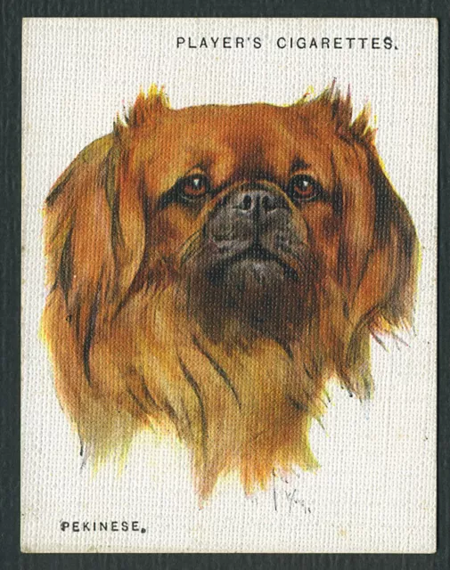 PEKINGESE PLAYERS 2nd SERIES DOG HEADS BY WARDLE 1929 LRG CIGARETTE CARD #5