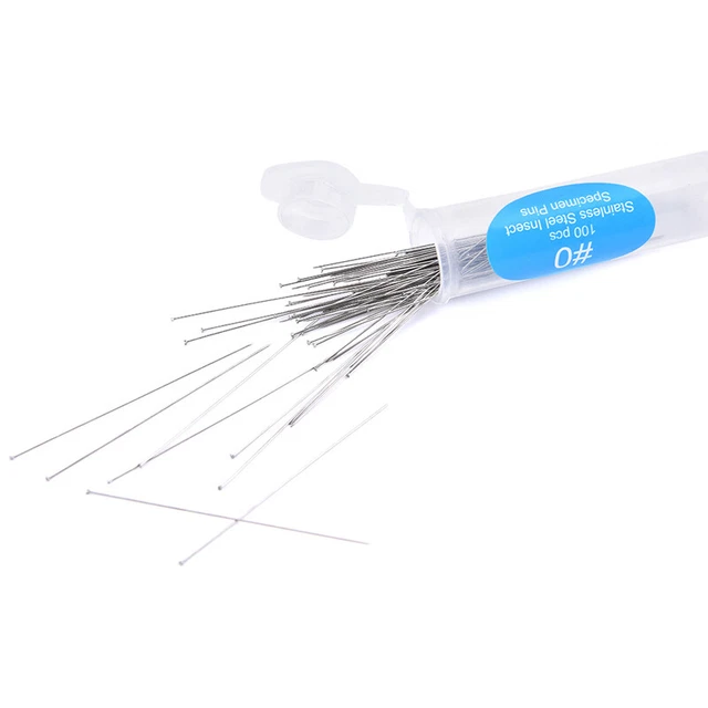 100 pz perni per insetti campione ago scuola acciaio inox laboratorio - entomologia - rodo RODE