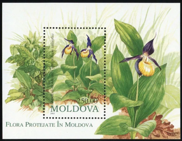 1993, Moldawien, Bl. 4 Probe, ** - 2881903