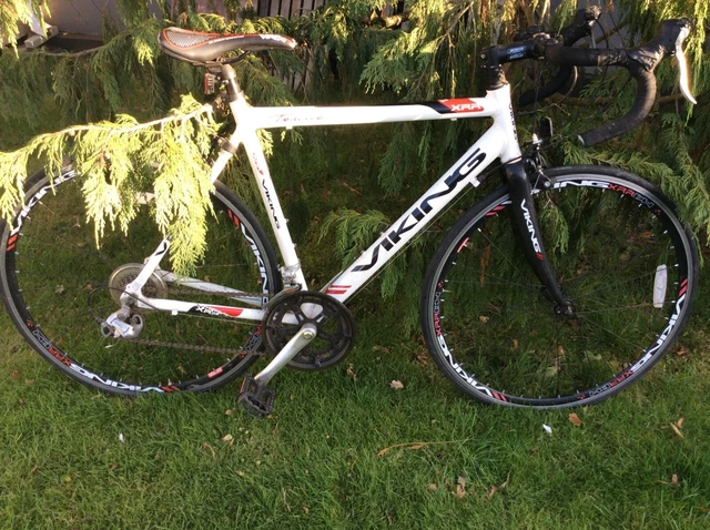 Viking torino road shop bike