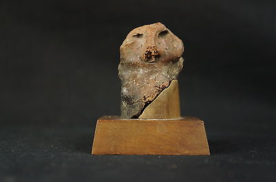 Excellent Pre-Colombian unusual ceramic artifact w. stand 2" [Y8-W6-A9] 2
