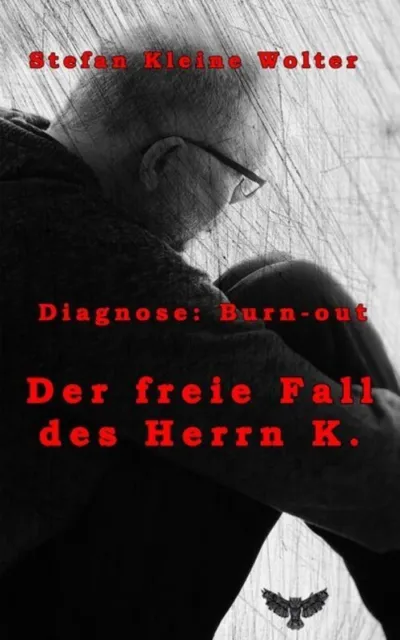 Der freie Fall des Herrn K. | Stefan Kleine Wolter | Diagnose: Burn-Out | Buch