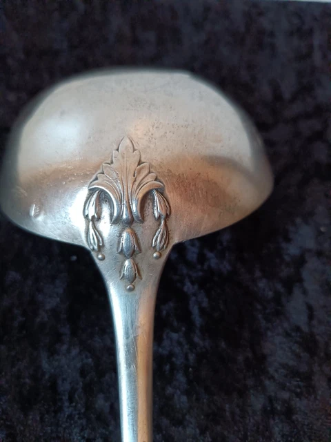 LOUCHE ARGENT MASSIF