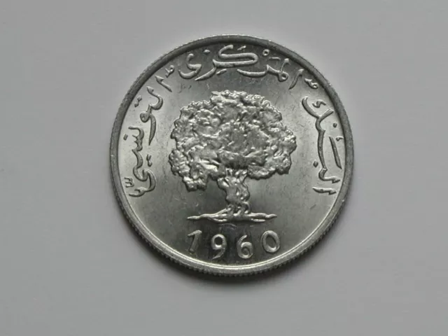 Tunisia 1960 5 MILLIM Aluminum Coin AU+ with Lustre & Mediterranean Olive Tree