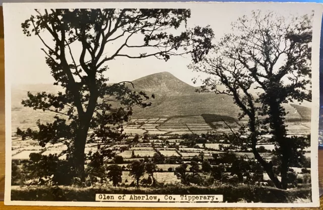 Irish Tourist Assn RPPC Postcard GLEN OF AHERLOW Thru Trees Tipperary Ireland