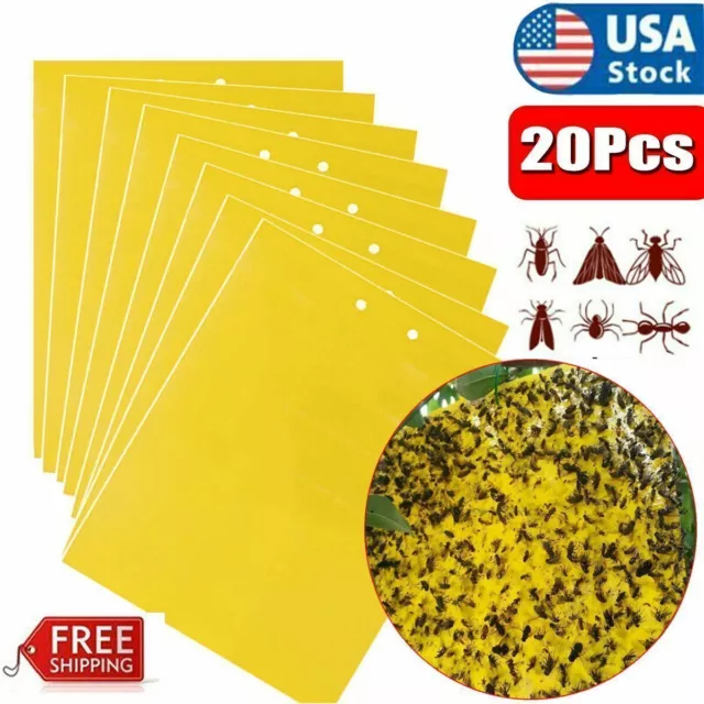 20pcs Sticky Fly Trap Paper Yellow Traps Fruit Flies Insect Glue Catcher Best