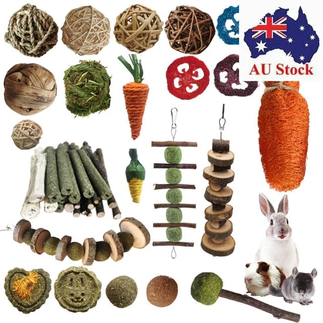 Guinea Pig Pet Supply Pet Teeth Care Training Toys Teeth Clean Chew Toys Set