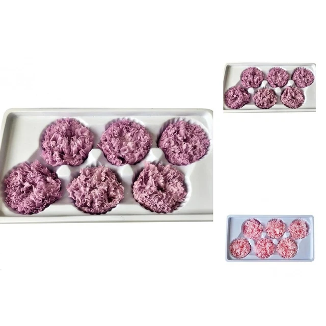 6 piezas/caja Flor Eterna Clavel Ecológico Regalo de Acción de Gracias Caja Floral Regalo