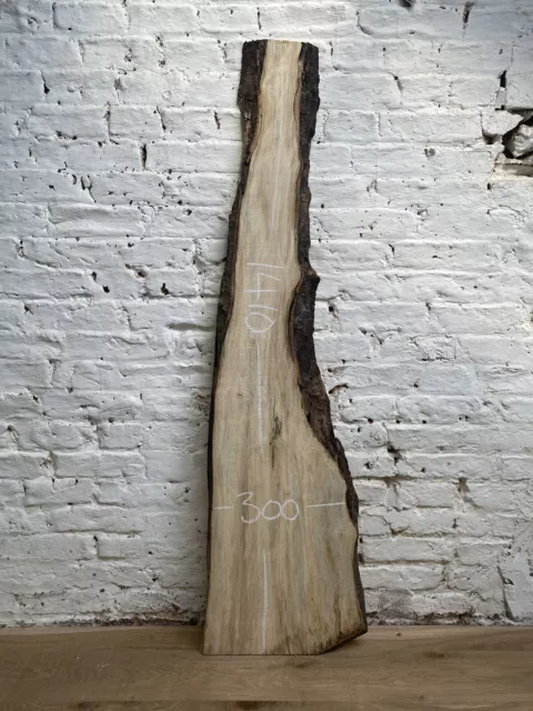 Waney Edge Live Edge Spalted Sycamore Boards Planks Slabs River Table