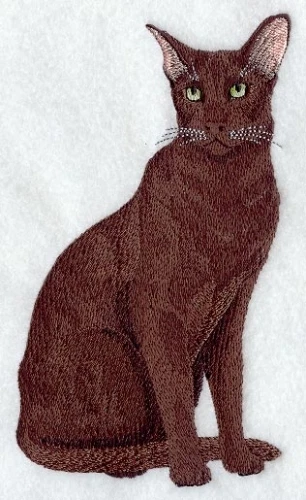 Embroidered Sweatshirt - Havana Brown Cat C7962 Sizes S - XXL