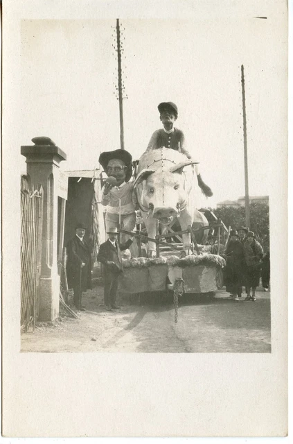 Postcard / Carte Postale Photo / Carte Animee / Fete Defile / Attelage De Cochon