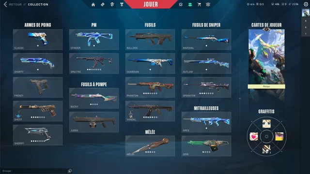 Compte Valorant Avec Skins - Neuf, Jamais Utilisé, Avec Skins Inclus - Pour PC
