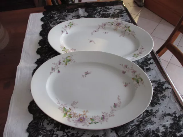 2 Anciens Grands Plats Porcelaine De Limoges