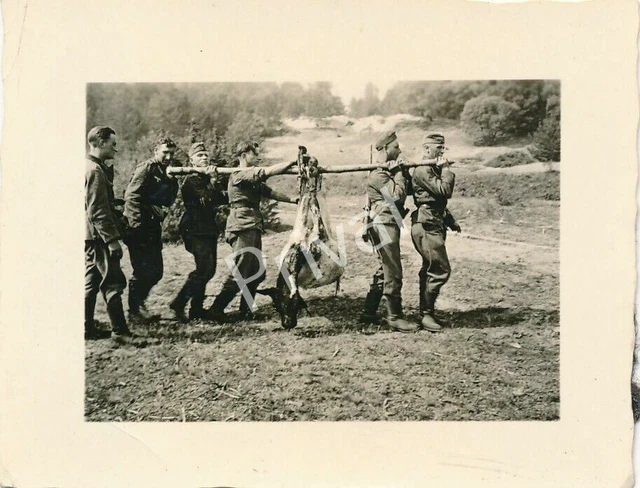 P Rind FOTO WK II Soldaten Wehrmacht Rind Schlachtung Litauen Lietuva H1.61 ...