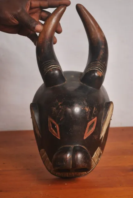 African Tribal Art,amazing Luba  animal  mask from Katanga region  DRC . 3