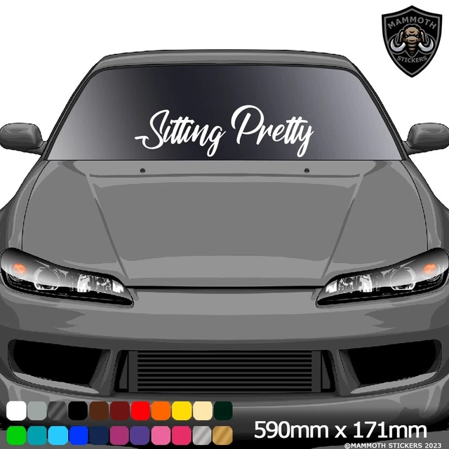 Autocollant Personnalisé 500mm (50cm) Large Why So Serious? Funny Novelty Windscreen Vinyl Sticker Decal Personalized Décor Decals, Stickers & Vinyl Art - Foto 11