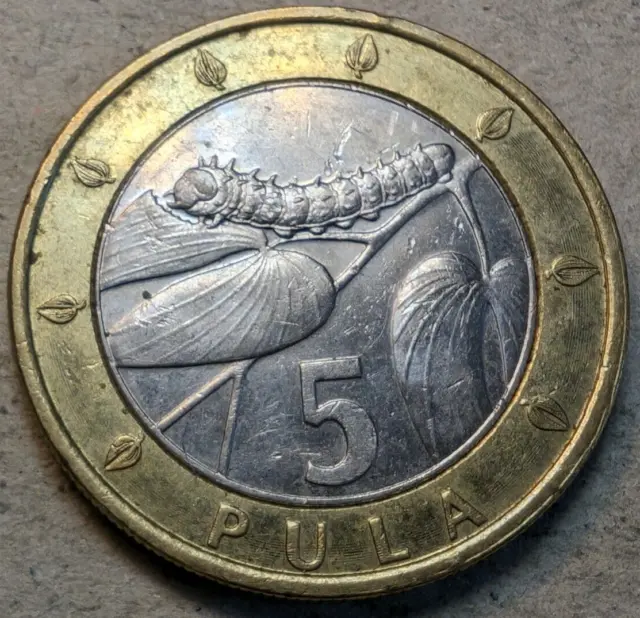Botswana 5 pula 2007 bi-metallic coin