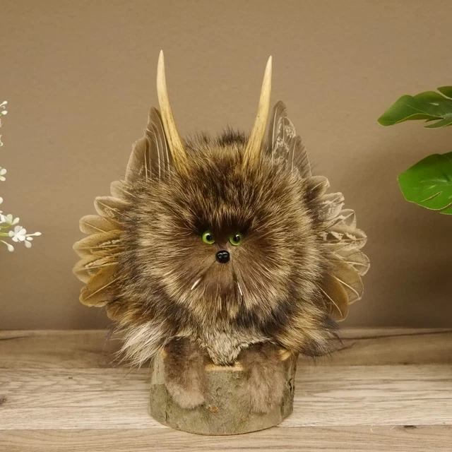 Pequeño Wolpertinger Wolpi Preparado Taxidermy Con Verde Ojos, Pequeño Ala