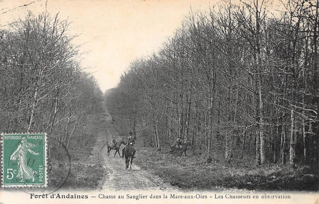61-FORET D'ANDAINES-Chasse au Sanglier dans la Mare-aux-Oies-N 6004-A/0115