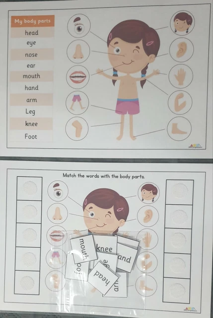 MY BODY PARTS, teaching resources, homeschooling, activities,ASD EYFS £ ...