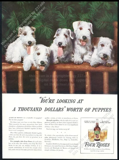 1938 Sealyham terrier puppies photo Four Roses whiskey vintage print ad