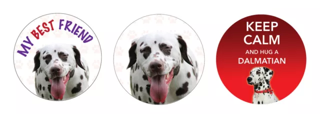 DALMATIAN Dog Car Van Tax Disc Holder Pet Animal  Lover Ideal Present