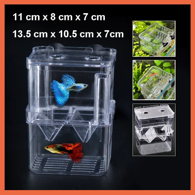 Breeding Box Aquarium Fish Tank Floating Breeder Isolation Hatchery Fry Trap Box