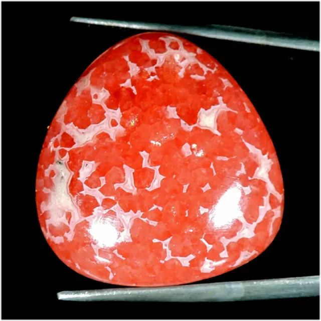 49.40Cts Rare Collection Natural Pink Rhodochrosite Fancy Cabochon Gemstone