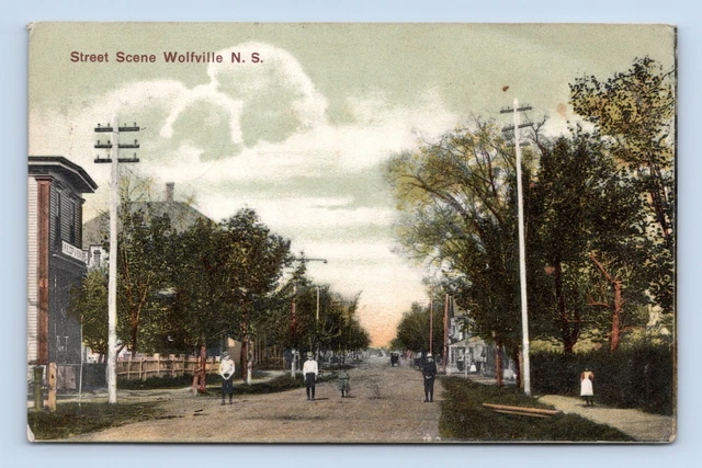 Street View Wolfville Nova Scotia Canada DB Postcard P4