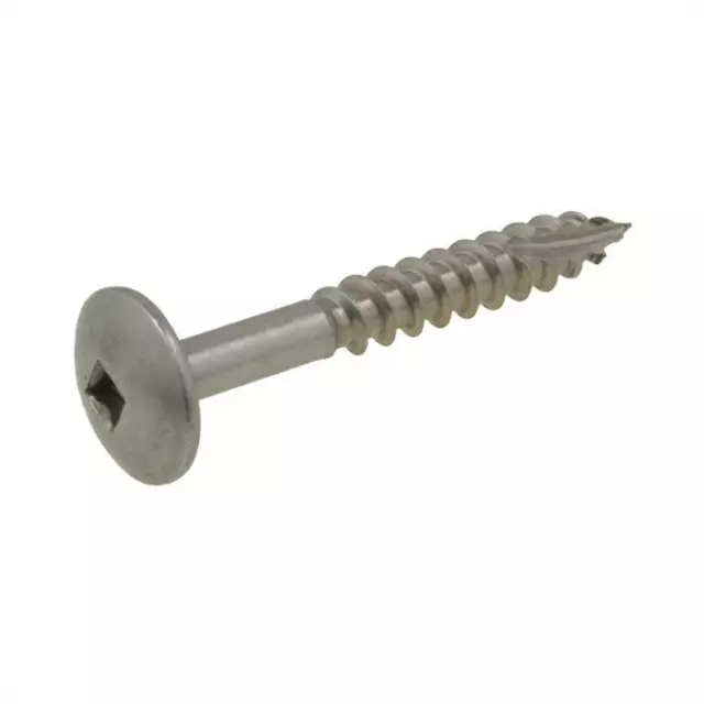 G316 Stainless Button Square Timber T17 Self Drilling Screw Type 17 Marine