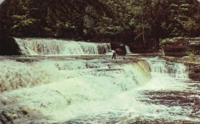Lower Tahquamenon Falls, Michigan, MI, Unused Chrome Vintage Postcard e6296